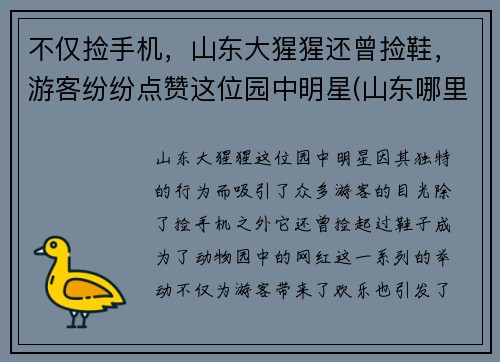 不仅捡手机，山东大猩猩还曾捡鞋，游客纷纷点赞这位园中明星(山东哪里有猩猩)