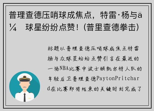 普理查德压哨球成焦点，特雷·杨与众球星纷纷点赞！(普里查德拳击)