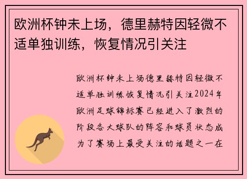 欧洲杯钟未上场，德里赫特因轻微不适单独训练，恢复情况引关注